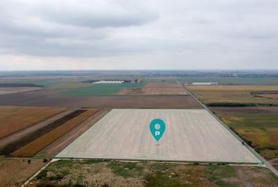 Teren agricol extravilan de 50000 mp, în Șag - 3
