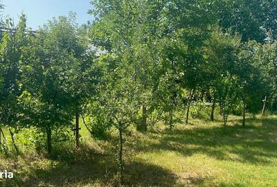 Casă cu 3 camere în Crevedia Mică - 18