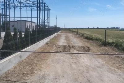 Teren de 520 mp, în Suraia - 4