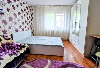 Garsonieră în Buziașului