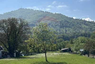 Teren de 3606 mp, în Pângărați