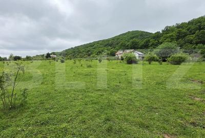 Teren Construcții intravilan de 1450 mp, în Sud