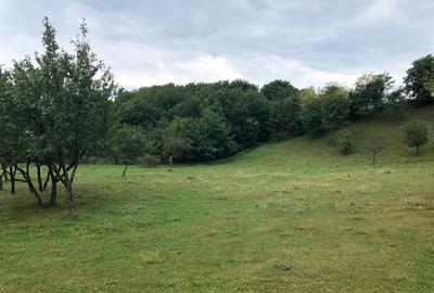 Teren Construcții intravilan de 3000 mp, în Vălenii de Munte