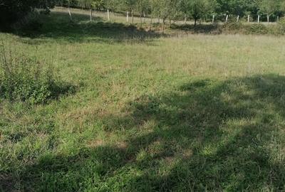 Teren de 4200 mp, în Boholt - 2