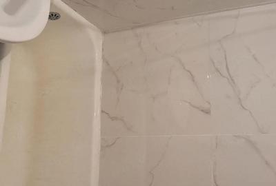Garsonieră semidecomandată în Craiovița Nouă - 4