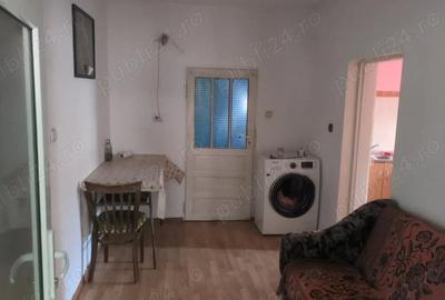 Casă cu Teren 5000 Mp în Roșia de Amaradia