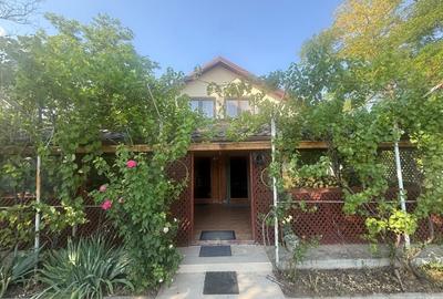Casă individuală cu 5 camere cu Teren 2000 Mp în Valea Argovei - 3