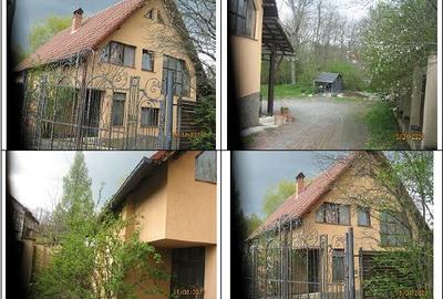Casă individuală cu 5 camere cu Teren 6252 Mp în Popești (Golești) - 1