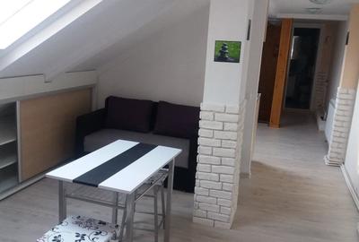 Apartament cu 2 camere semidecomandat în Dosu Bricii
