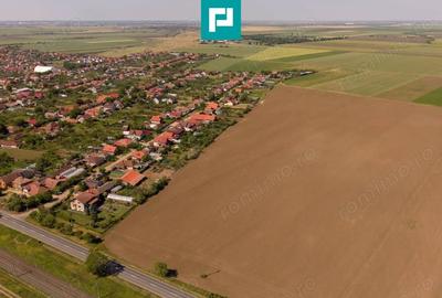 Teren de 28500 mp, în Șofronea - 5