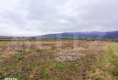 Teren de 9500 mp, în Central - 1