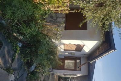Casă cu 4 camere în Măgurele - 3