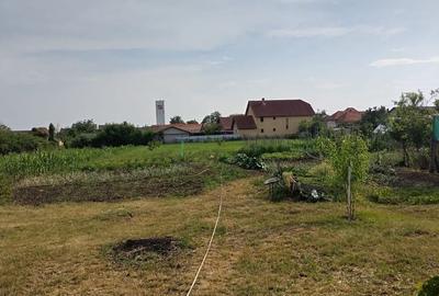 Casă cu 3 camere în Teiu - 8