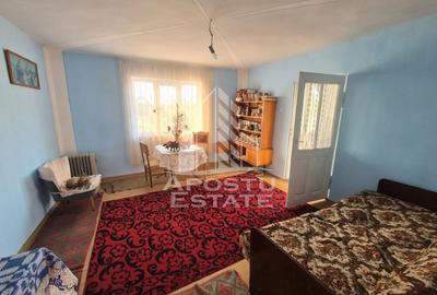 Casă individuală cu 9 camere cu Canalizare în Satchinez - 13