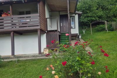 Casă cu 2 camere în Sărata - 3