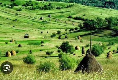 Teren de 156600 mp, în Dosu Bricii - 2