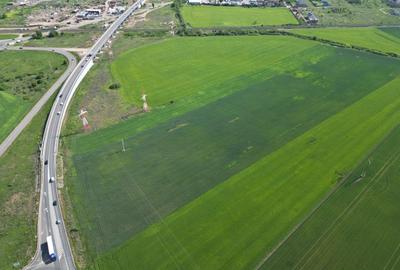 Teren agricol extravilan de 28089 mp, în Nord - 16