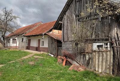 Casă cu 2 camere în Cetariu