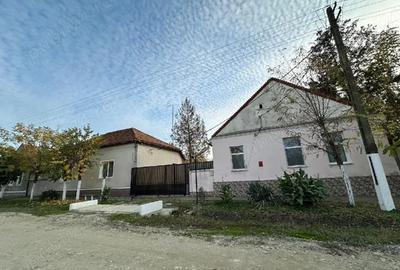 Casă cu 3 camere cu Teren 3000 Mp în Jamu Mare - 5