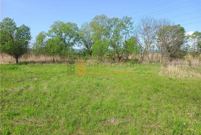 Teren agricol intravilan de 5485 mp, în Viperești - 3