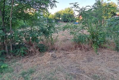 Teren de 752 mp, în Copăceni
