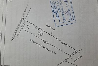Teren de 1000 mp, în Teasc