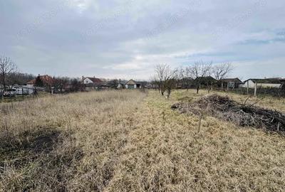Casă cu Teren 2000 Mp în Central