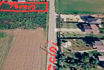 Teren Construcții extravilan de 926 mp, în Cărpenișu - 1