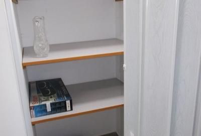 Apartament cu 2 camere semidecomandat, mobilat în Costin Georgian - 13