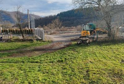 Casă cu 2 camere cu Teren 3600 Mp în Bejan - 8