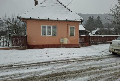 Casă individuală cu 3 camere cu Teren 1263 Mp în Dileu Nou - 10