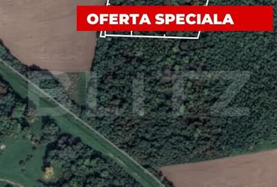 Teren extravilan de 10000 mp, în Șag