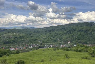 Teren de 115367 mp, în Runcu - 12
