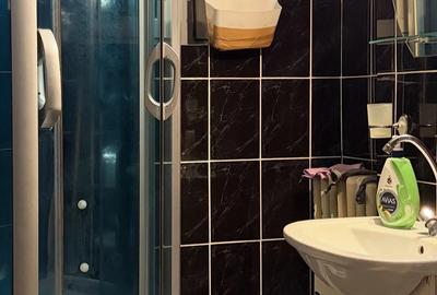 Apartament cu 2 camere decomandat în Debarcader - 8