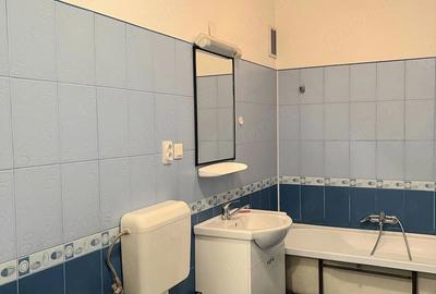 Apartament cu 2 camere nedecomandat în Neptun