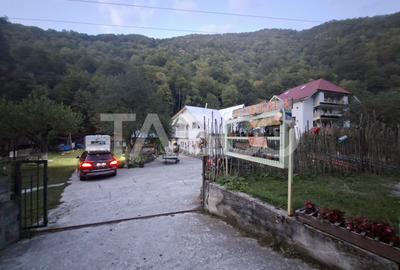Casă individuală cu 29 camere cu Teren 3400 Mp în Valea Măceșului - 49