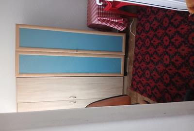 Apartament cu 2 camere decomandat în Trivale