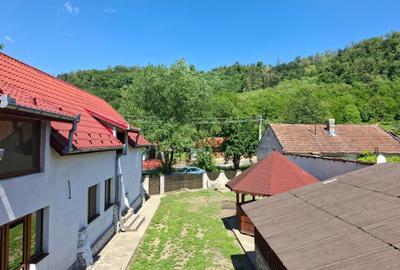 Casă individuală cu 3 camere cu Teren 1485 Mp în Lăpușnic - 3