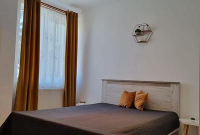 Apartament cu 2 camere semidecomandat în Dosu Bricii - 2
