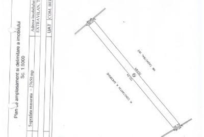 Teren de 27649 mp, în Berceni - 5