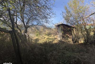 Casă cu 2 camere în Vale - 10