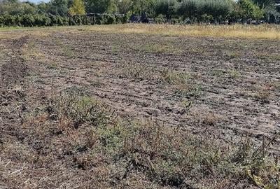 Teren de 1000 mp, în Grădinari - 5