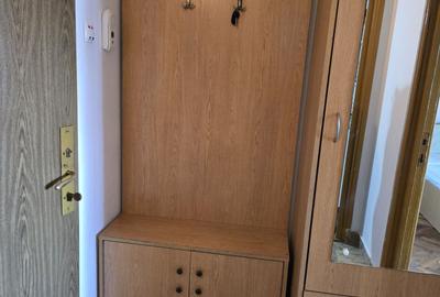 Garsonieră decomandată în Tăbăcărie - 3