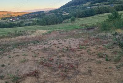 Teren de 1800 mp, în Poplaca - 7