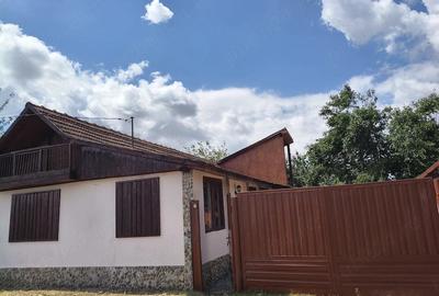 Casă cu 4 camere cu Teren 1289 Mp în Tărian - 2
