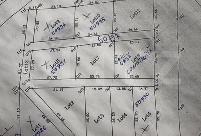 Teren Construcții intravilan de 2500 mp, în Sâncraiu de Mureș