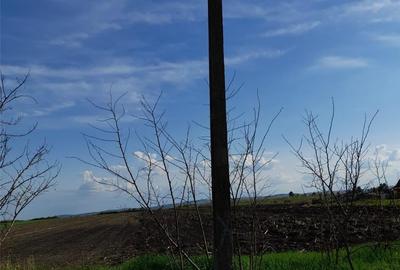 Teren de 9600 mp, în Central