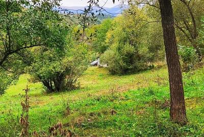 Teren de 5400 mp, în Bughea de Jos - 6