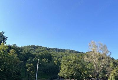 Casă cu Teren 1700 Mp în Central