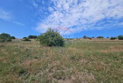 Teren agricol extravilan de 11600 mp, în Câmpenești - 3